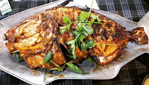 cá bò giáp, loài cá vị ngon hơn cả thịt gà, đặc sản quý hơn vàng