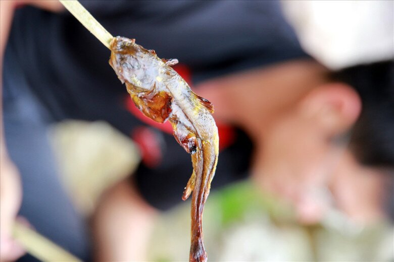 Loài cá tên nghe đã thấy khó ăn là đặc sản được ví như amp;#34;nhân sâmamp;#34; dưới nước, chỉ dùng để đãi khách quý vì siêu hiếm - 2