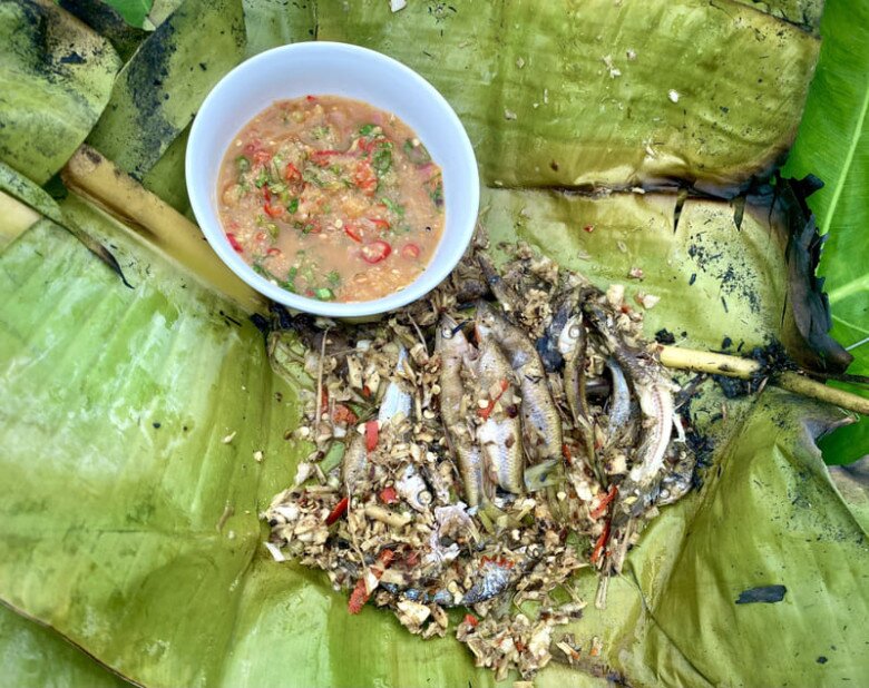 Loài cá tên nghe đã thấy khó ăn là đặc sản được ví như amp;#34;nhân sâmamp;#34; dưới nước, chỉ dùng để đãi khách quý vì siêu hiếm - 3