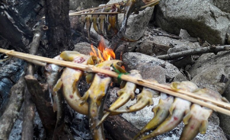 Loài cá tên nghe đã thấy khó ăn là đặc sản được ví như amp;#34;nhân sâmamp;#34; dưới nước, chỉ dùng để đãi khách quý vì siêu hiếm - 4