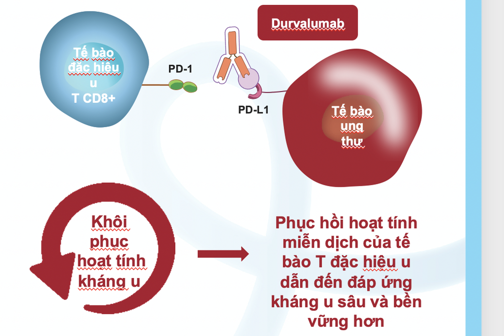 Căn bệnh ung thư 80% ca mắc phát hiện đã trễ, tử thần từ món gỏi cá sống - 2