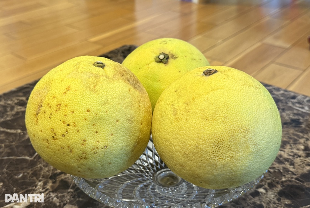 Loại quả trong nhóm tốt nhất thế giới được trồng khắp Việt Nam - 2