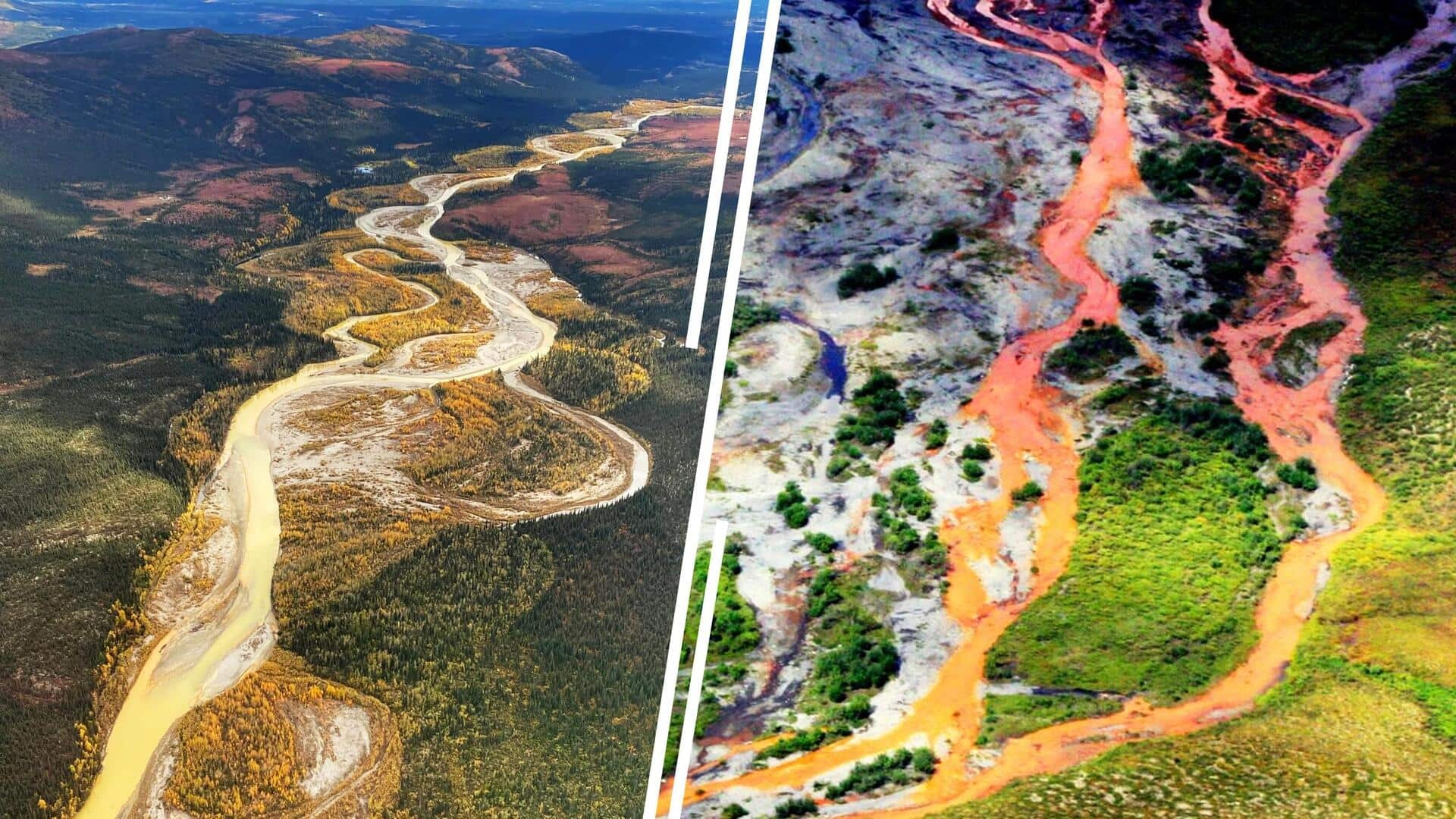 Các con sông ở Bắc Cực chuyển sang màu cam bí ẩn: Khoa học tìm ra lời giải- Ảnh 4.