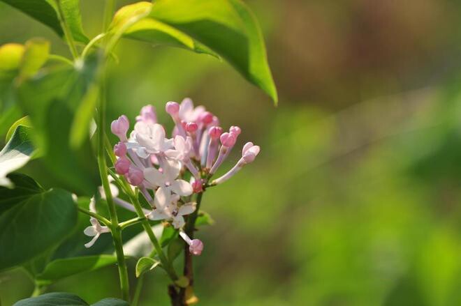 Quan hệ thân đến mấy cũng đừng dễ dàng nhận 3 loại quà tặng này: Đây không phải mê tín 2 Quan hệ thân đến mấy cũng đừng dễ dàng nhận 3 loại quà tặng này: Đây không phải mê tín - 2