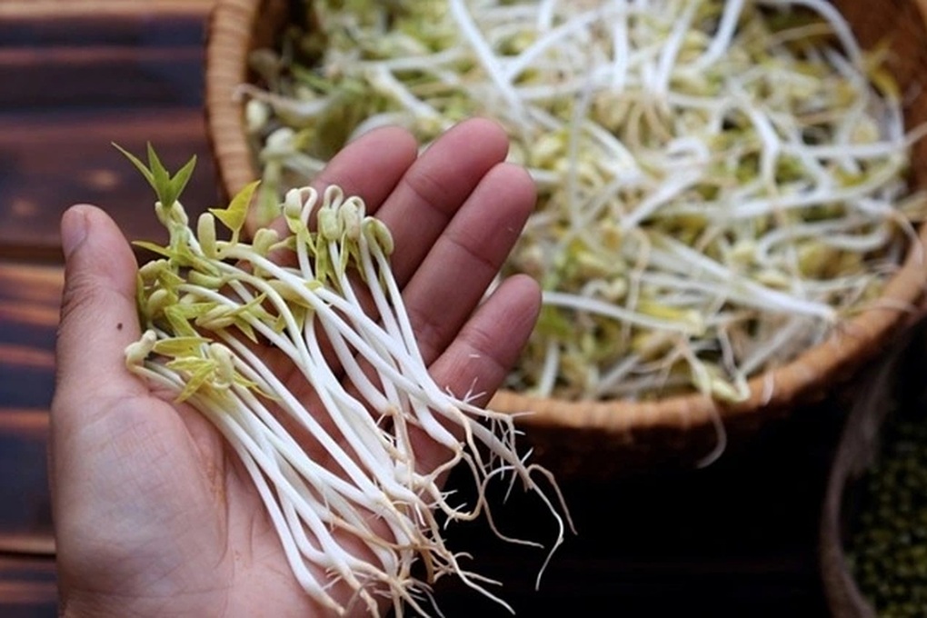 Nước kẹo ủ giá đỗ - Chất độc hại gan, gây dị tật thai nhi - 2