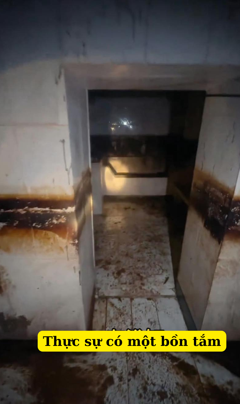 Nhìn lại vụ nữ sinh bị sát hại tại Đại học Nam Kinh: 