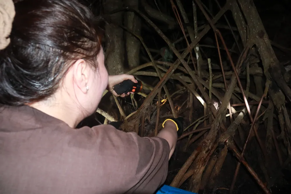 Men theo con kênh nhỏ, chiếc vỏ lãi rẽ sóng len lỏi giữa rừng đước, đưa du khách đến nơi ba khía xuất hiện nhiều nhất. Soi-ba-khia-4.JPG