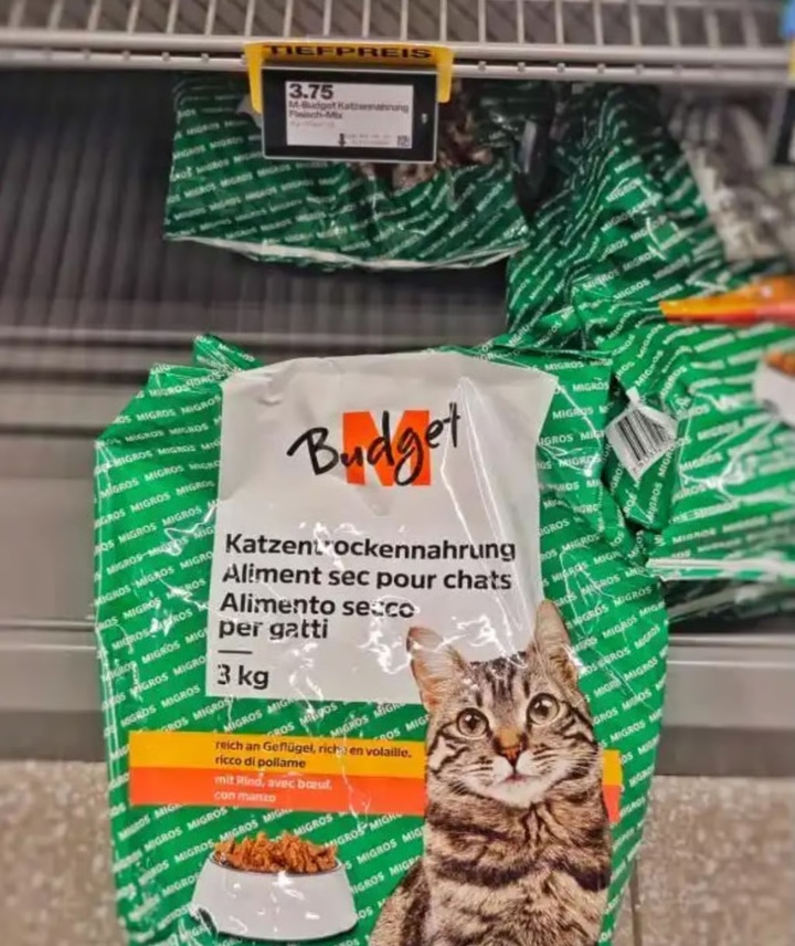 Chàng trai ăn thức ăn cho mèo để tiết kiệm tiền khi học tiến sỹ ở nước ngoài- Ảnh 2.