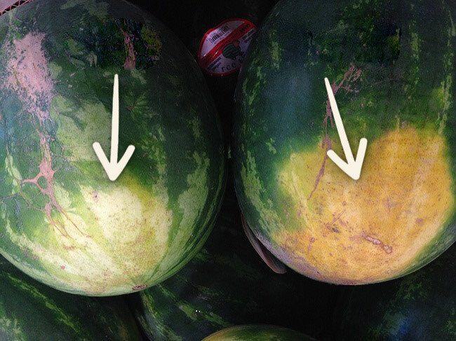 Mua dưa hấu, chỉ cần nhìn 4 chỗ này chẳng phải vỗ mỏi tay cũng chọn được quả ngọt ngon - 3