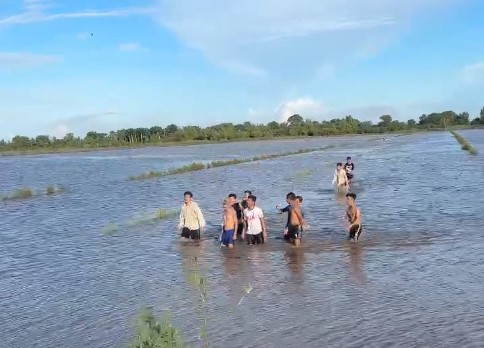 - Ảnh 2. - Ảnh 2.