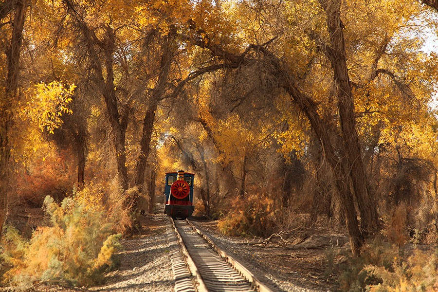 Lạc bước ở Tân Cương: Cảnh đẹp tưởng như photoshop, dân mê xê dịch phát sốt 4 Lạc bước ở Tân Cương: Cảnh đẹp tưởng như photoshop, dân mê xê dịch phát sốt - 4