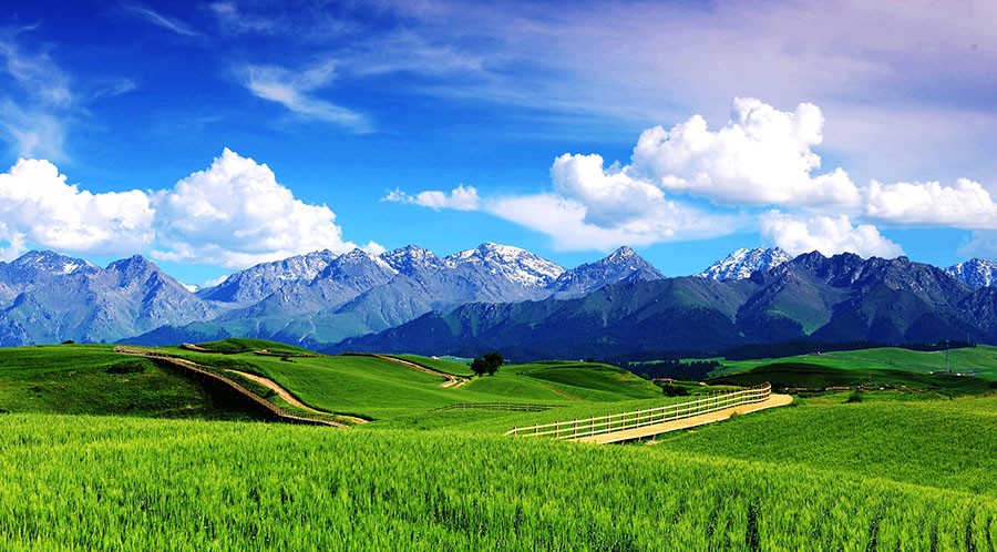 Lạc bước ở Tân Cương: Cảnh đẹp tưởng như photoshop, dân mê xê dịch phát sốt 6 Lạc bước ở Tân Cương: Cảnh đẹp tưởng như photoshop, dân mê xê dịch phát sốt - 6