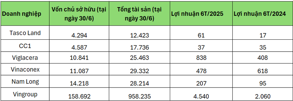 18 doanh nghiệp được chọn làm nhà ở xã hội có tiềm lực ra sao? - 2
