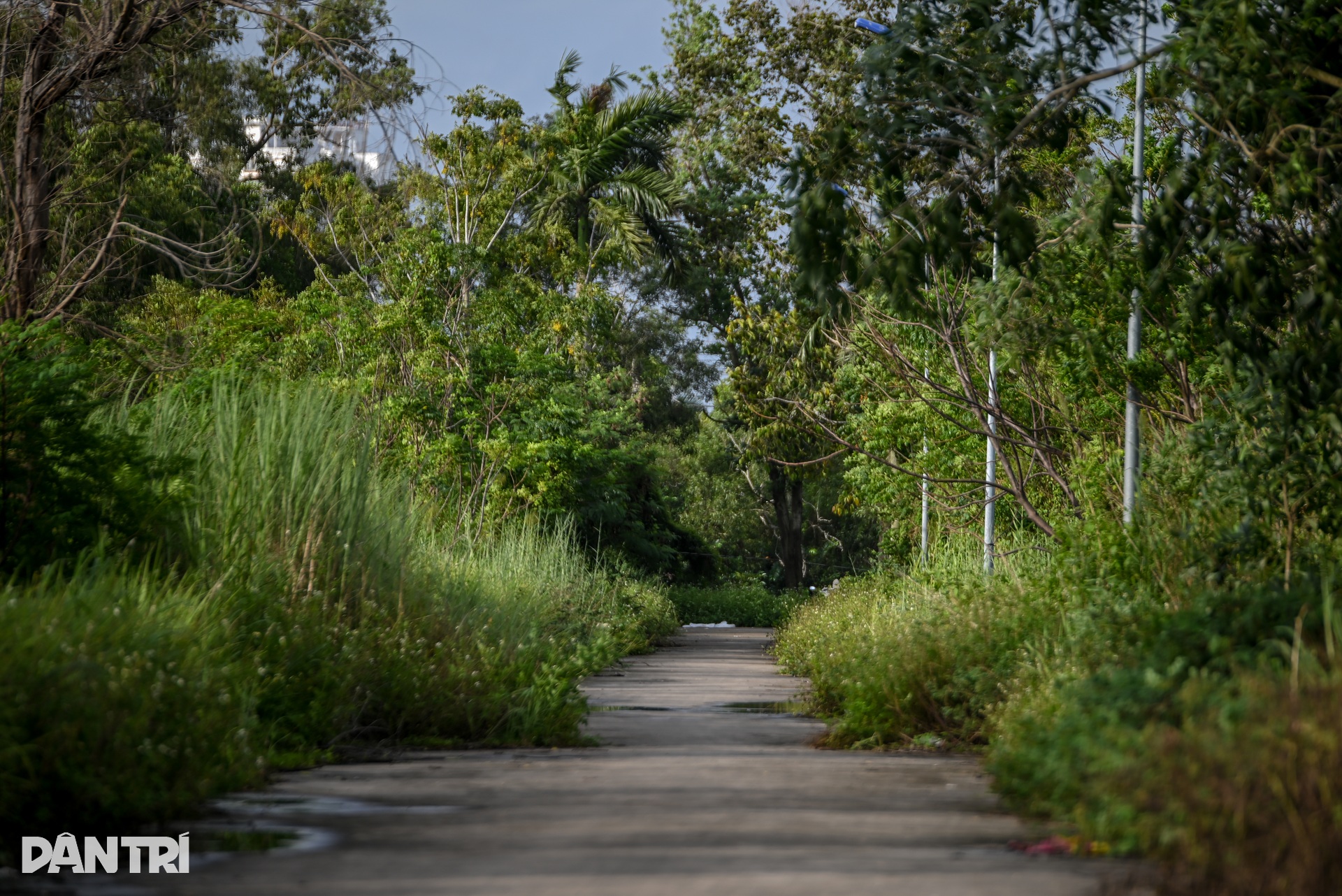 Hàng trăm người dân ở TPHCM tiền mất tật mang vì dự án treo hơn 2 thập kỷ - 6