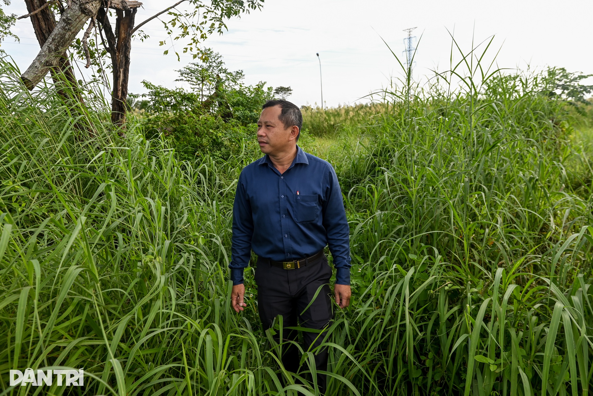 Hàng trăm người dân ở TPHCM tiền mất tật mang vì dự án treo hơn 2 thập kỷ - 8