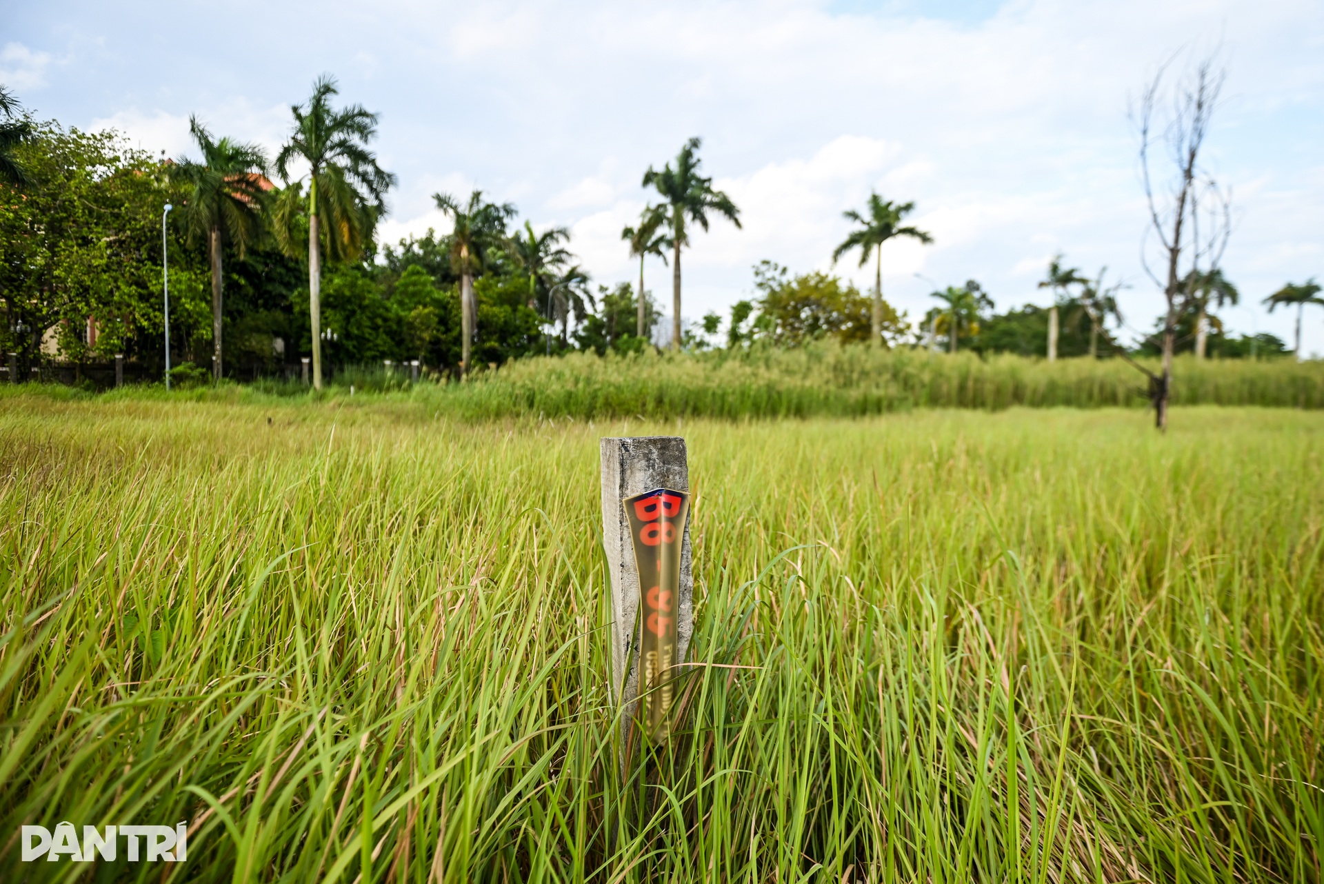 Hàng trăm người dân ở TPHCM tiền mất tật mang vì dự án treo hơn 2 thập kỷ - 10