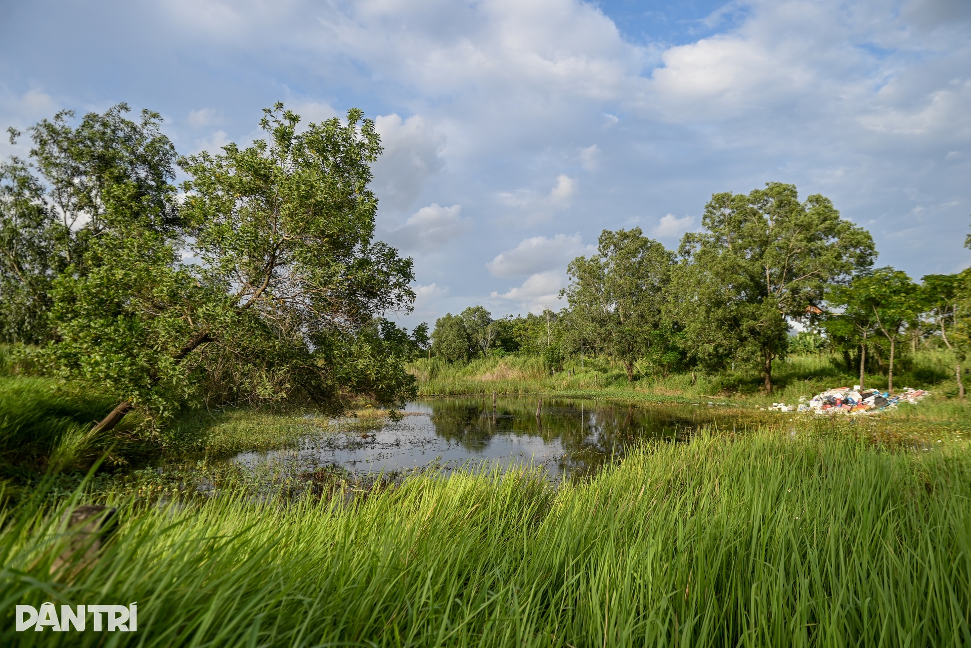 Hàng trăm người dân ở TPHCM tiền mất tật mang vì dự án treo hơn 2 thập kỷ - 12