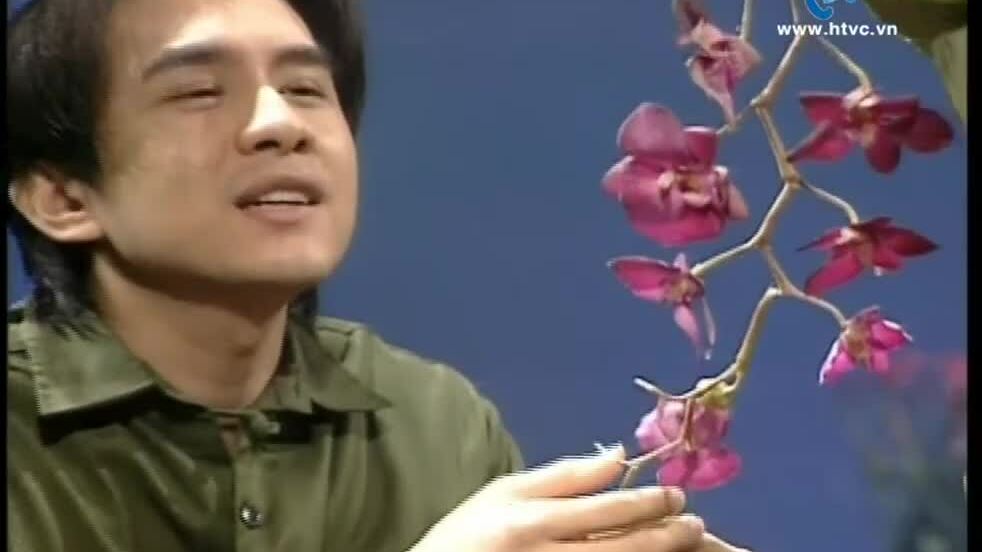 MV "Nhánh lan rừng" do Đan Trường thể hiện