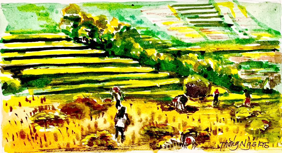 Bí mật vẻ đẹp mê hồn ruộng bậc thang Mù Cang Chải- Ảnh 6.