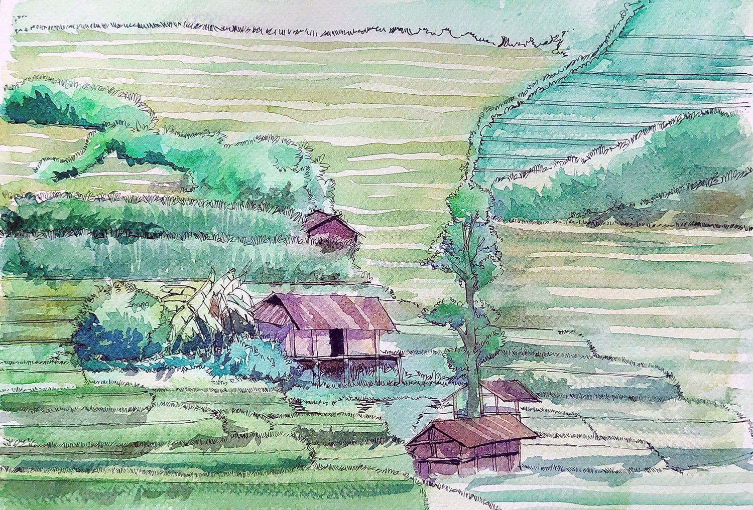 Bí mật vẻ đẹp mê hồn ruộng bậc thang Mù Cang Chải- Ảnh 11.