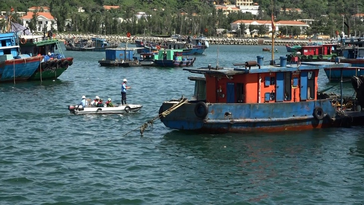 Bão Matmo: Đặc khu Bạch Long Vĩ đã có gió cấp 5-6, giật cấp 7 3 Bão Matmo: Đặc khu Bạch Long Vĩ đã có gió cấp 5-6, giật cấp 7 - Ảnh 3.