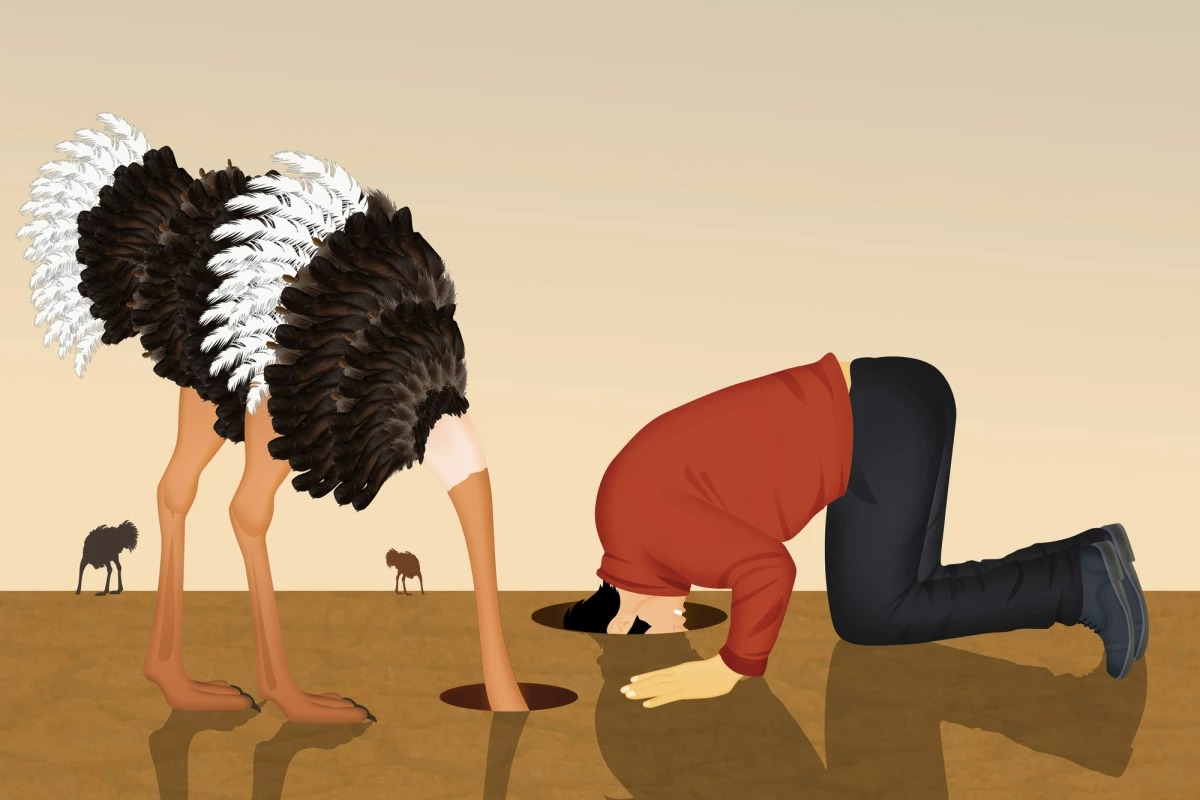 Con người càng lớn tuổi càng có xu hướng chọn sự ngu dốt có chủ đích- Ảnh 2.