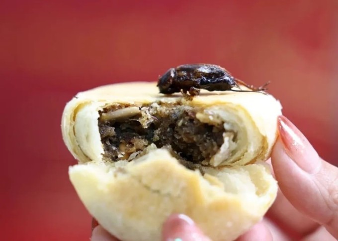 Bánh trung thu nhân dế ở Trung Quốc gây chú ý 3 Một số thực khách mong muốn được "trải nghiệm" dế nguyên con trong nhân bánh thay vì xay nhuyễn.