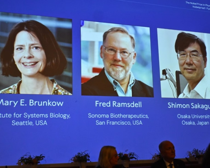 Ảnh chụp màn hình ba nhà khoa học được xướng tên giành giải Nobel Y sinh 2025 tại lễ công bố chiều 6/10 (giờ Hà Nội) tại Stockholm, Thụy Điển. Ảnh: Claudio Bresciani/TT News Agency