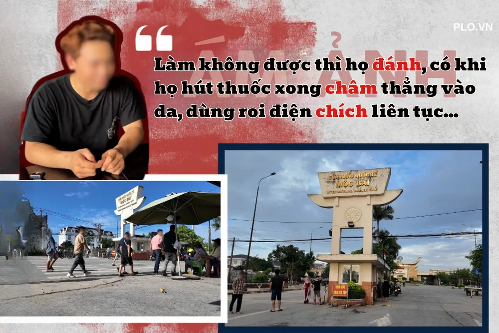 công ty quốc tế (7).png