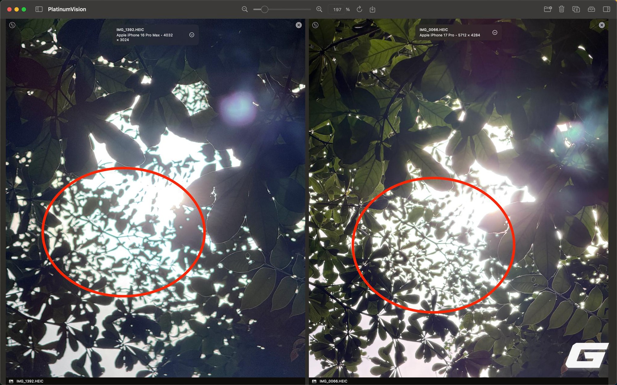 Camera iPhone 17 Pro Max có hơn 16 Pro Max? Hãy xem những ảnh này sẽ rõ- Ảnh 19.