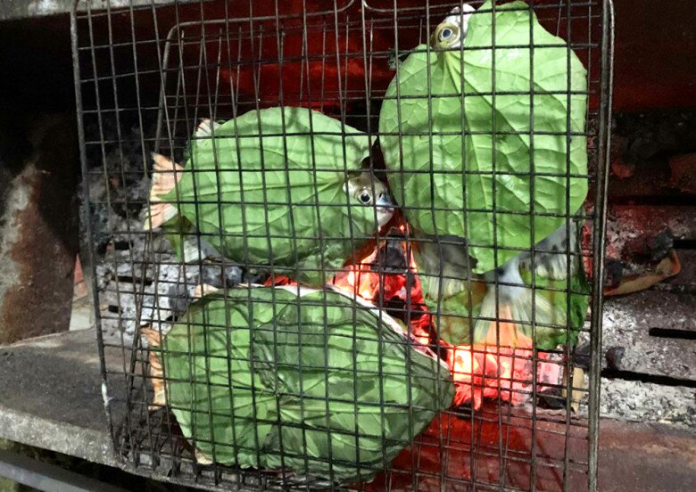 Loài cá có tên nghe đã thấy "già nua" là đặc sản nổi tiếng ở Quảng Ninh, xưa "vô danh" nay 450.000đ/kg vẫn được săn đón 4 Loài cá có tên nghe đã thấy amp;#34;già nuaamp;#34; là đặc sản nổi tiếng ở Quảng Ninh, xưa amp;#34;vô danhamp;#34; nay 450.000đ/kg vẫn được săn đón - 4