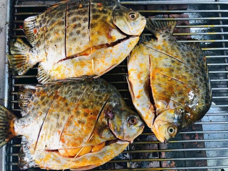 Loài cá có tên nghe đã thấy "già nua" là đặc sản nổi tiếng ở Quảng Ninh, xưa "vô danh" nay 450.000đ/kg vẫn được săn đón 5 Loài cá có tên nghe đã thấy amp;#34;già nuaamp;#34; là đặc sản nổi tiếng ở Quảng Ninh, xưa amp;#34;vô danhamp;#34; nay 450.000đ/kg vẫn được săn đón - 5