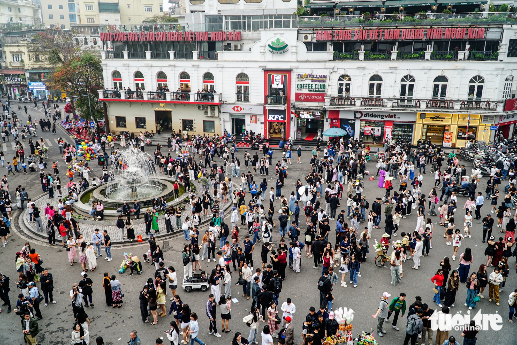 hàm cá mập - Ảnh 2.