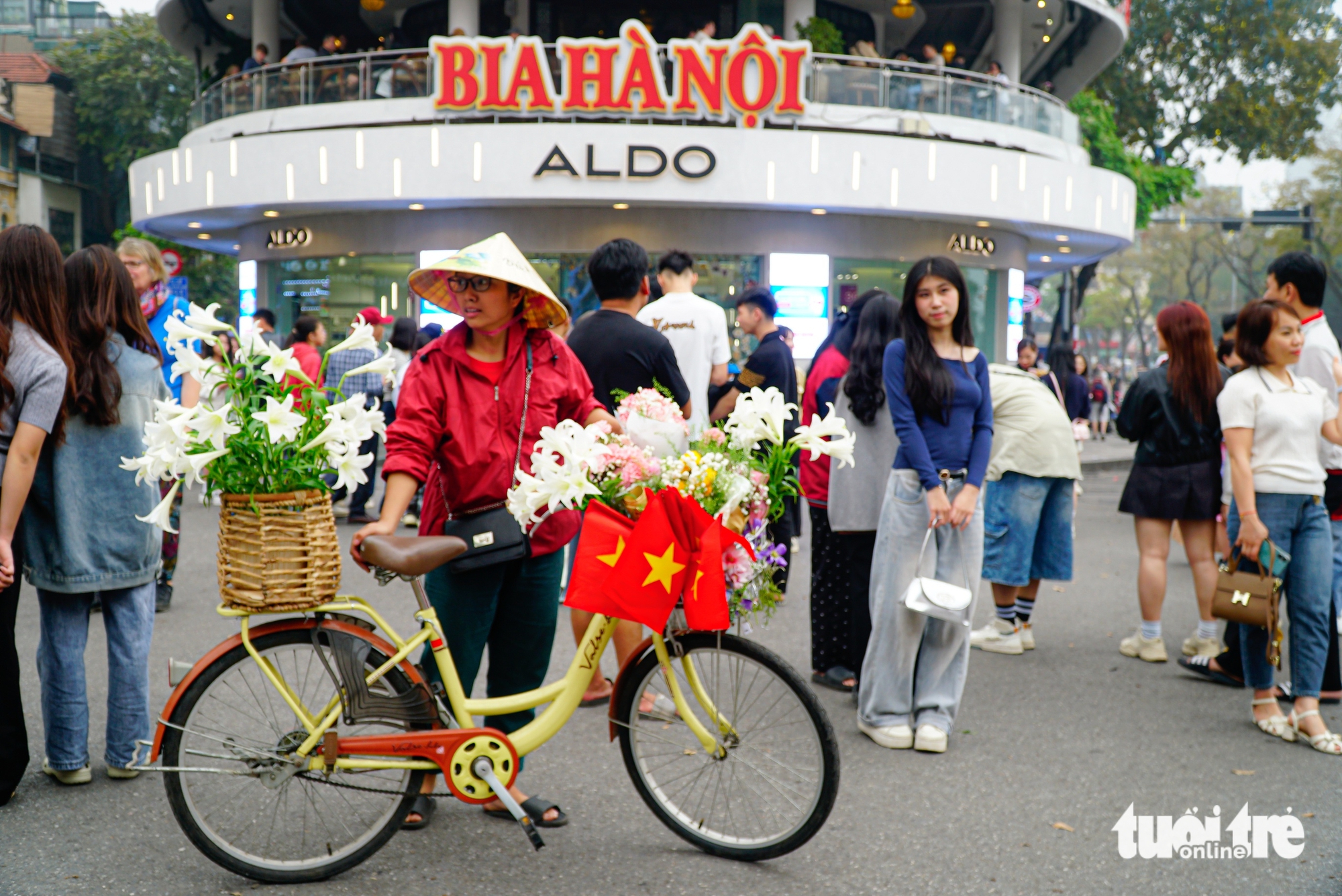 hàm cá mập - Ảnh 4.