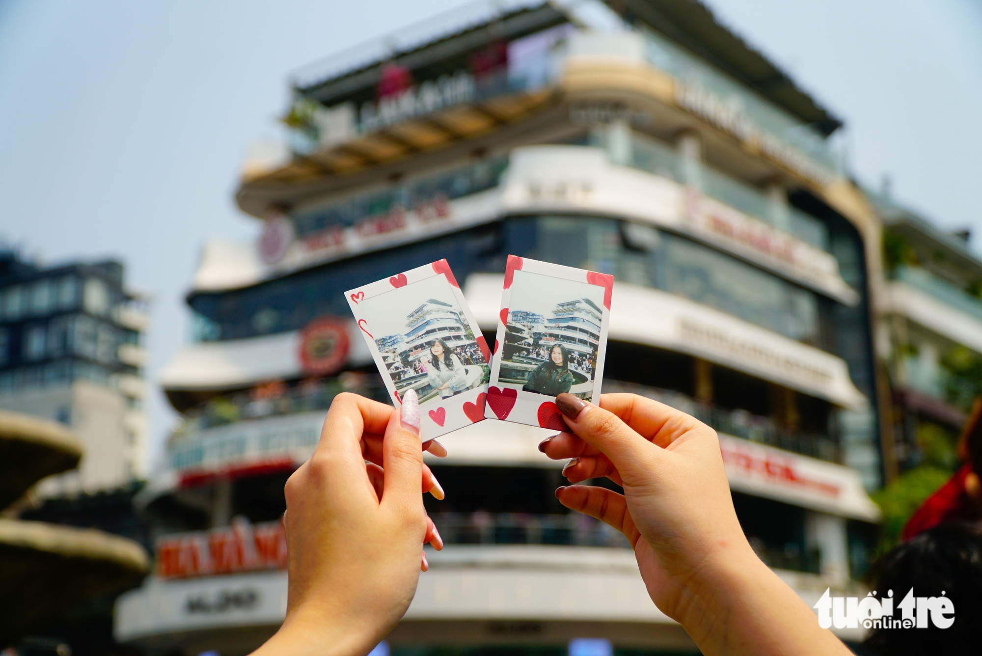 hàm cá mập - Ảnh 5.