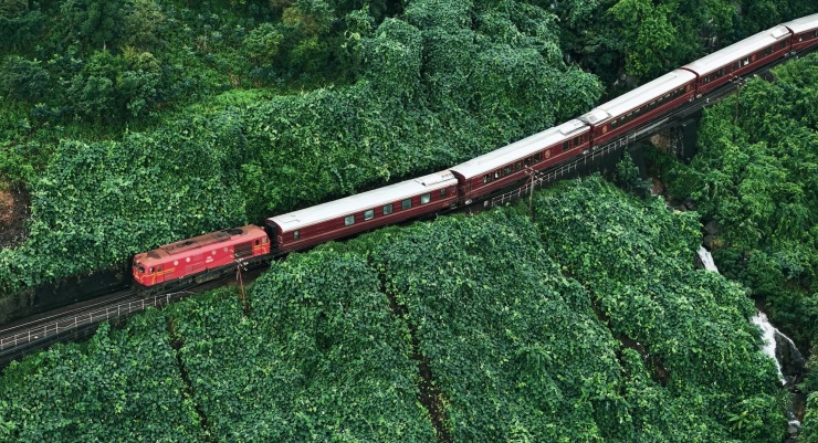 Chuyến tàu hơn 200 triệu đồng/người ở Việt Nam có gì khiến du khách mê mẩn? - 2