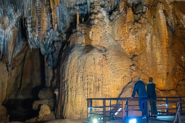 Chuyến tàu hơn 200 triệu đồng/người ở Việt Nam có gì khiến du khách mê mẩn? - 3