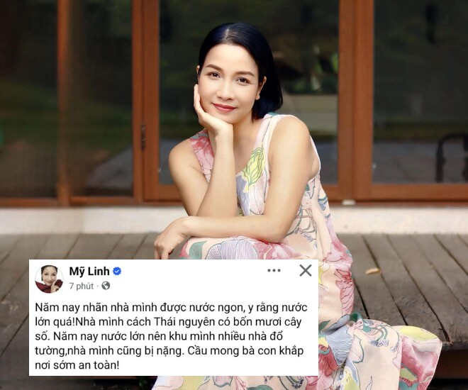 Trên trang cá nhân, diva Mỹ Linh bày tỏ sự xót xa trước cảnh ngập lụt. Nữ ca sĩ cho biết nhà riêng của cô nằm cách Thái Nguyên khoảng 40km cũng bị ảnh hường nặng. Mỹ Linh chia sẻ: Nhà mình cách Thái Nguyên có bốn mươi cây số. Năm nay nước lớn nên khu mình nhiều nhà đổ tường, nhà mình cũng bị nặng. Cầu mong bà con khắp nơi sớm an toàn!.