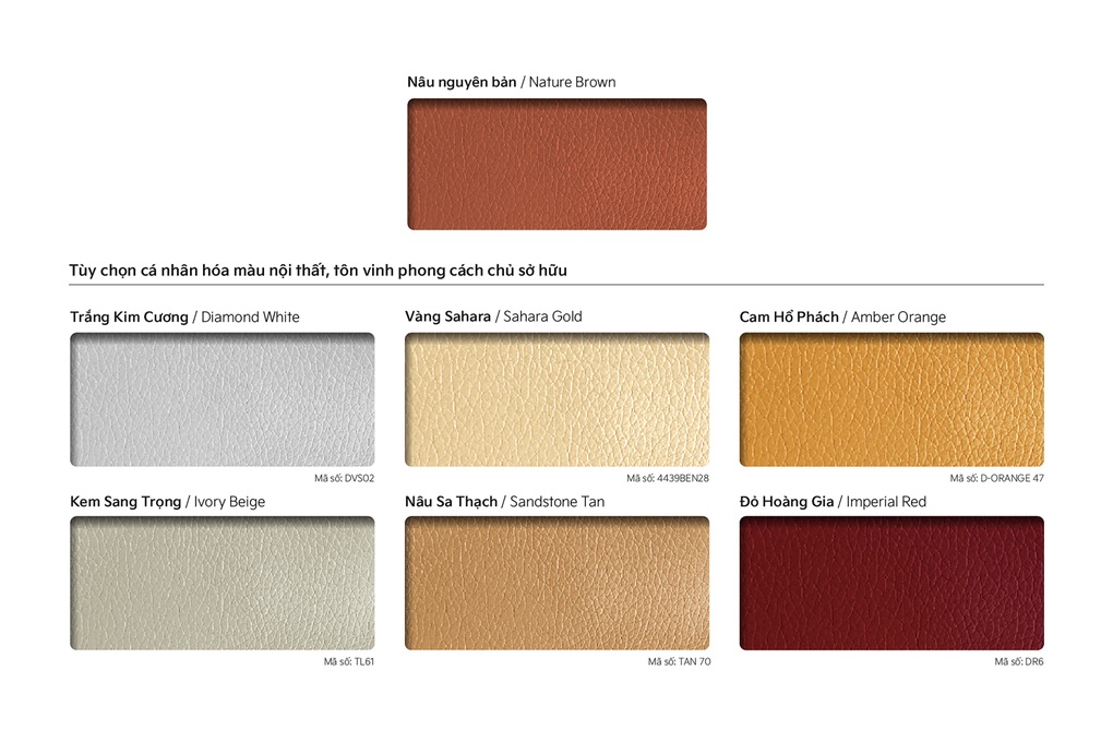 Tháng 10, Kia giới thiệu xe mới, ưu đãi 50% lệ phí trước bạ cho nhiều sản phẩm - 3