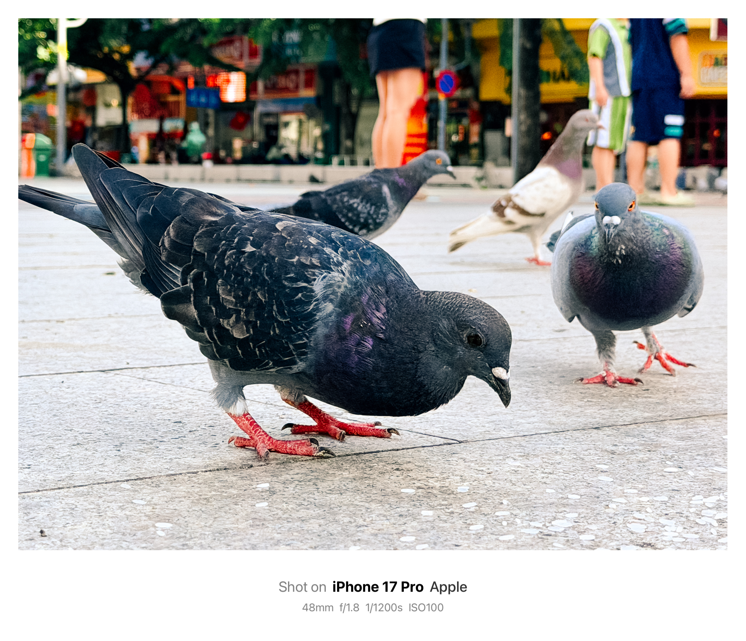 Sài Gòn qua Sài Gòn qua