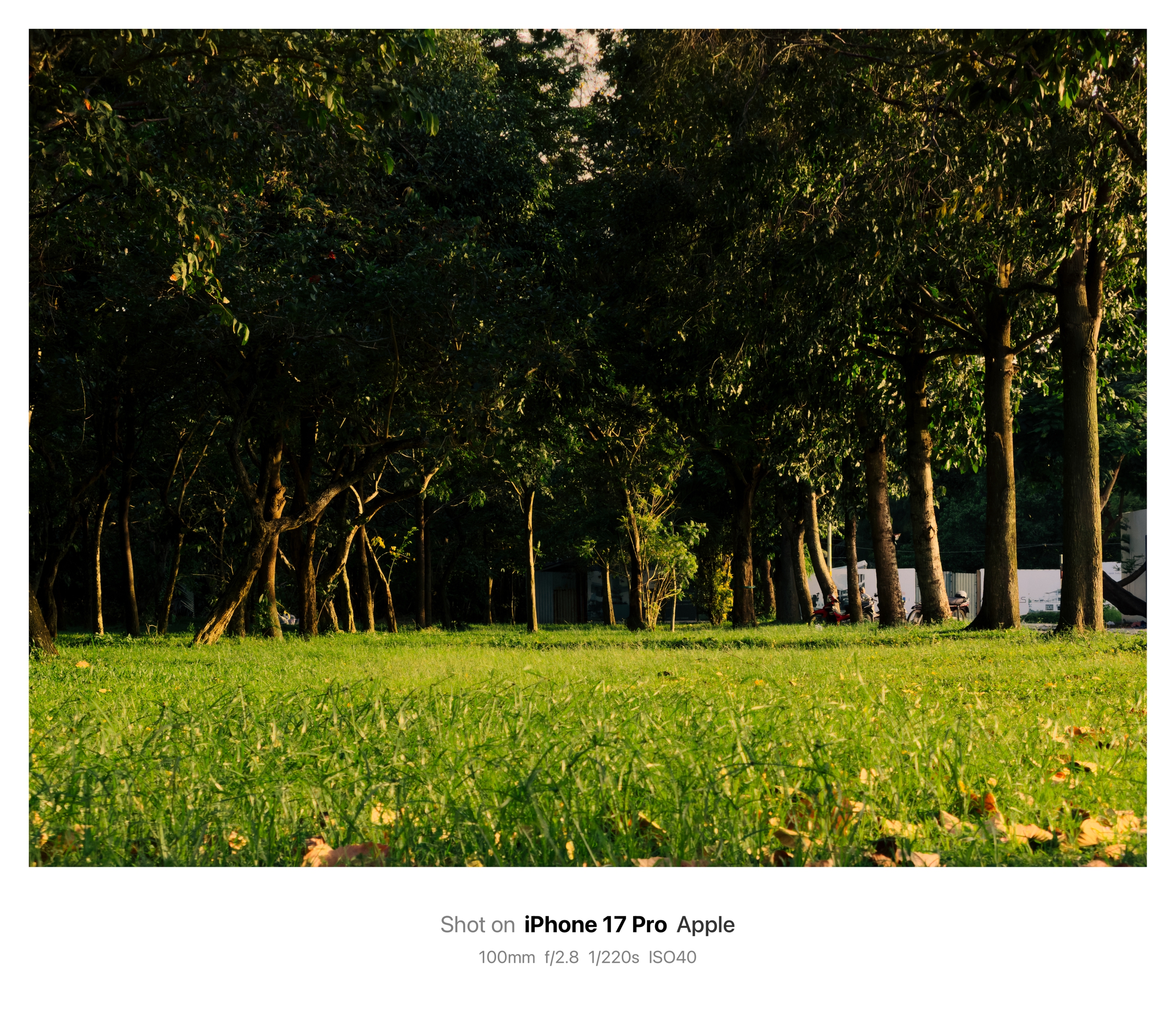 Sài Gòn qua Sài Gòn qua