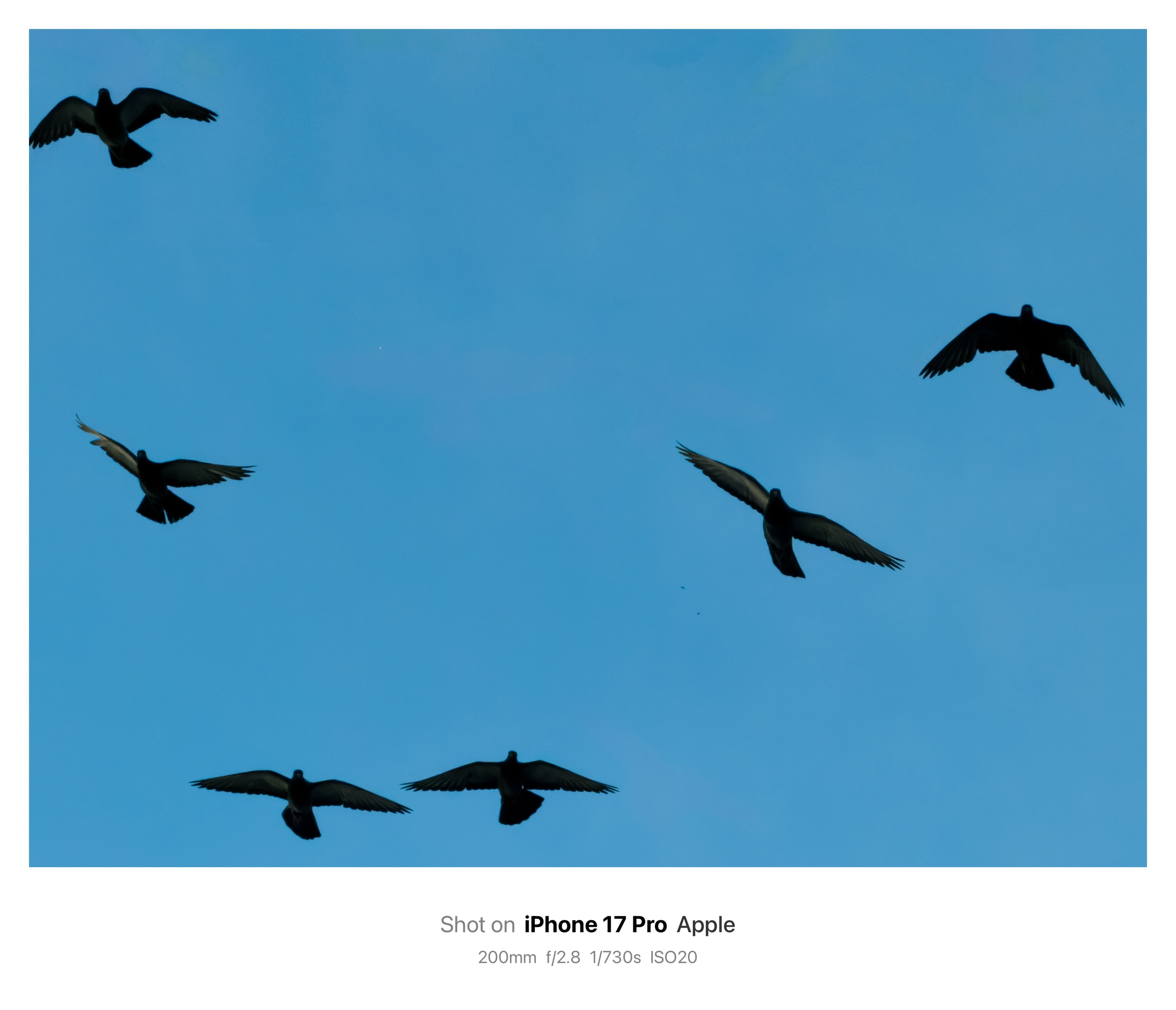 Sài Gòn qua Sài Gòn qua