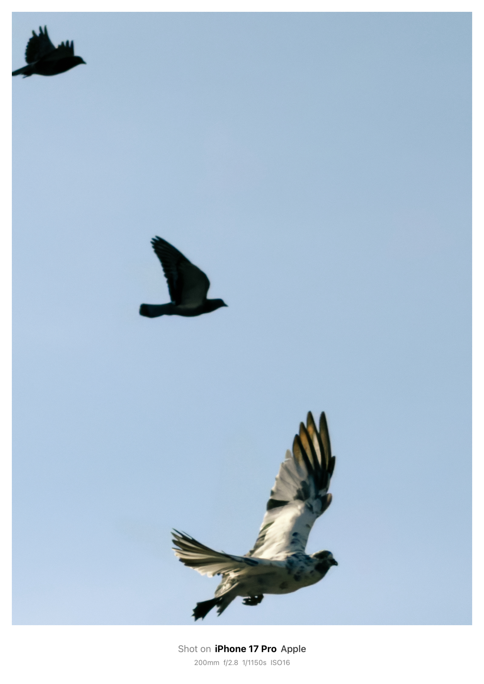 Sài Gòn qua Sài Gòn qua