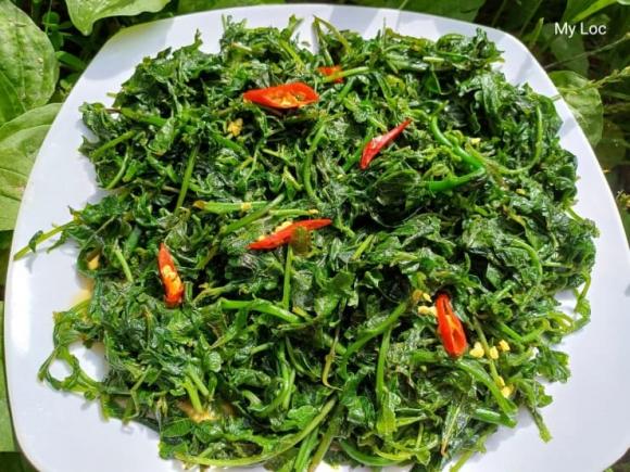 Rau dớn, công dụng của rau dớn