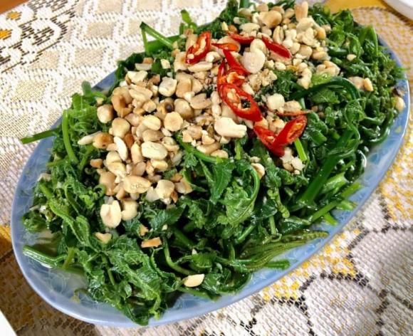 Rau dớn, công dụng của rau dớn