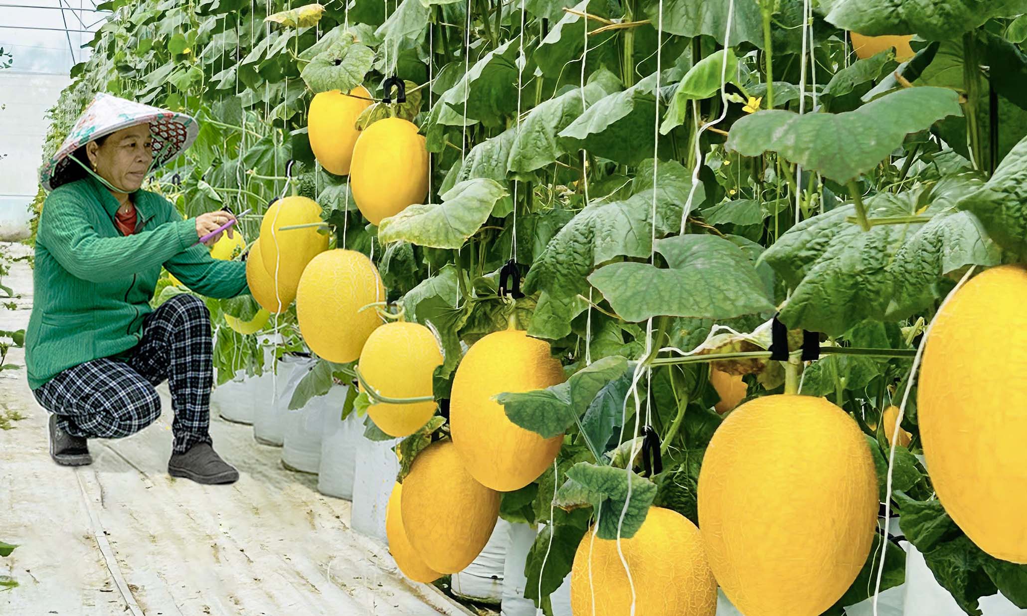 Hàng nhãn riêng Saigon Co.op: Niềm tin trong giỏ hàng Việt- Ảnh 2.