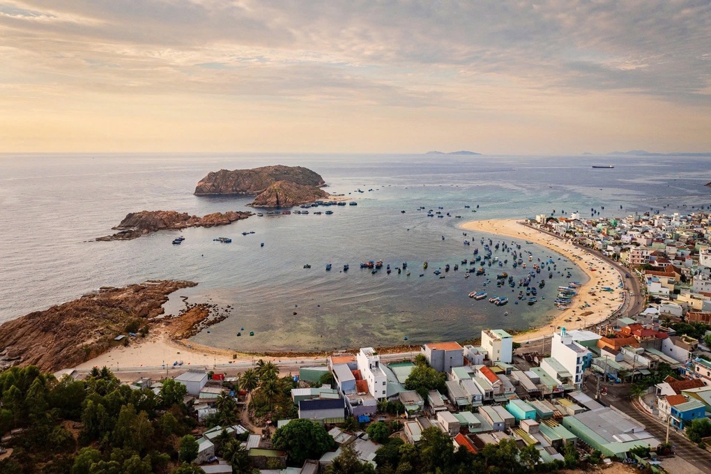 Hoa dong riềng nở rộ trên núi lửa triệu năm, hút khách đến Gia Lai check-in - 4