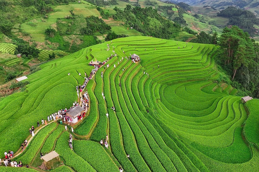 Mù Cang Chải mùa đẹp nhất: Nhiều nơi “cháy phòng”, khách đặt trước nửa năm - 3