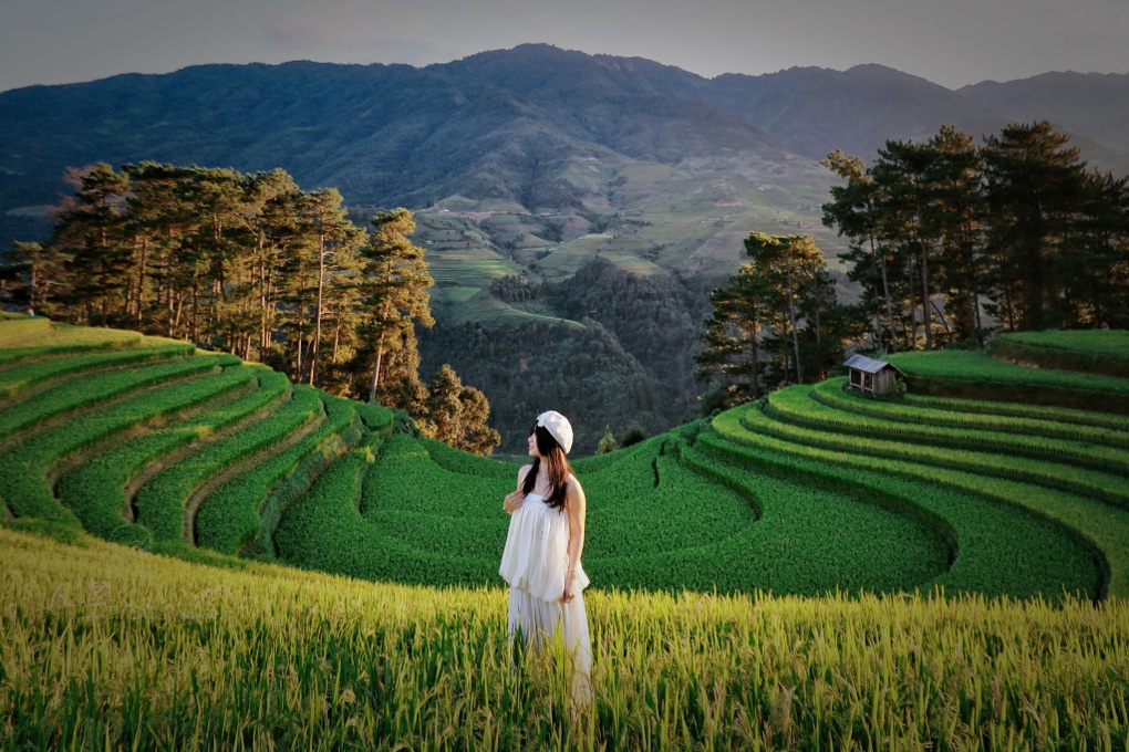 Mù Cang Chải mùa đẹp nhất: Nhiều nơi “cháy phòng”, khách đặt trước nửa năm - 5