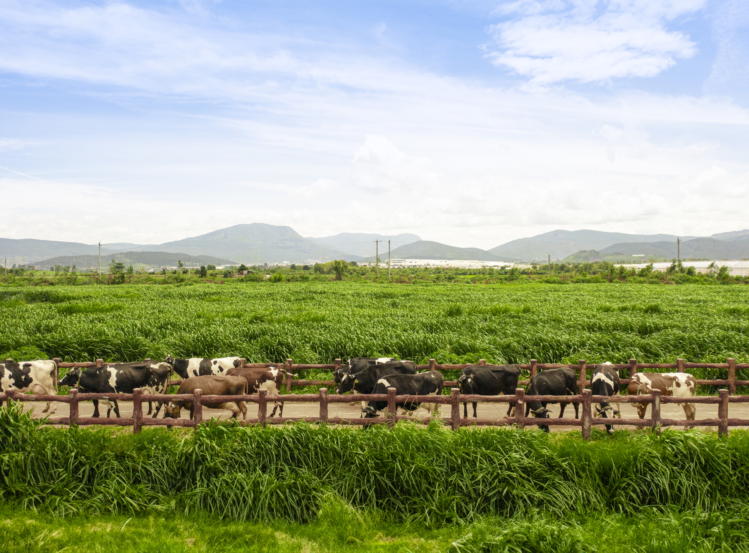 Phát triển bền vững: Khi gánh nặng chi phí trở thành tài sản thương hiệu- Ảnh 3.